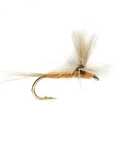 Fulling Mill Sulphur Parachute