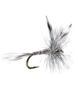 Umpqua Mosquito