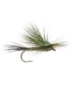 Umpqua Gunnison Green Drake - 12 Shop Flies
