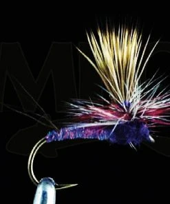 MFC Keller's Rocky Mountain Mint Purple