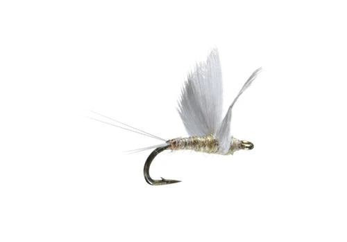 Umpqua No Hackle Gray/Yellow 3 Umpqua No Hackle Gray/Yellow