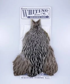 Whiting Brahma Hen Cape For Soft Hackles