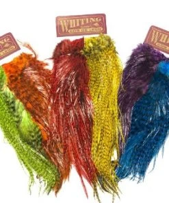 Whiting Coq De Leon Predator Pack Hackle