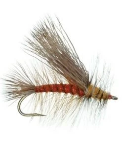 Umpqua Stimulator Orange Shop Flies