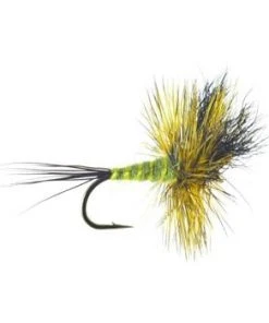 Umpqua Green Drake Wulff Shop Flies