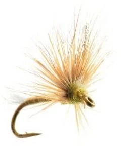 Umpqua Shop Flies Improved Sparkle Dun Baetis