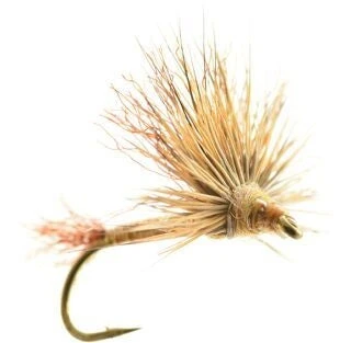 Umpqua Improved Sparkle Dun Callibaetis 3 Umpqua Improved Sparkle Dun Callibaetis