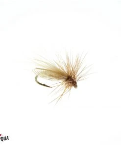 Umpqua Resting Caddis - Olive Shop Flies