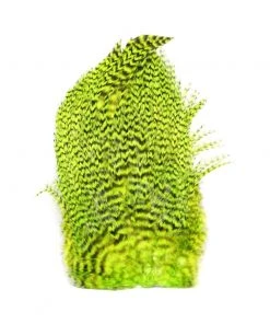 Hackle Whiting 4B Schlappen/Bugger Saddle