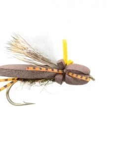 Fulling Mill Shop Flies Stoneflopper Brown