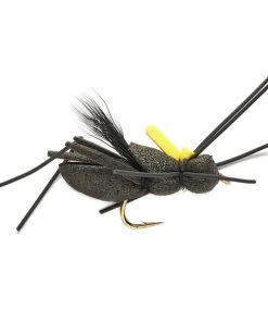 Fulling Mill Project Cricket - 6