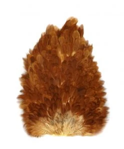 Hackle Whiting 4B Hen Saddle