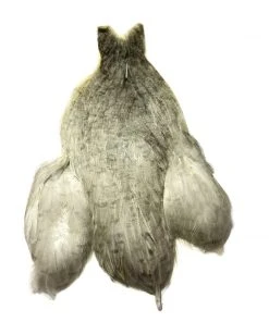 Whiting Bantam Hen Cape Hackle