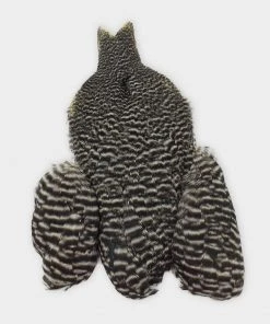 Whiting Winger Cape Hackle