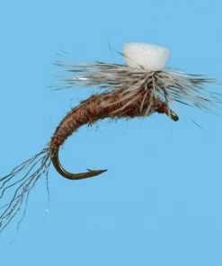 Solitude Brook's Sprout - Callibaetis Shop Flies