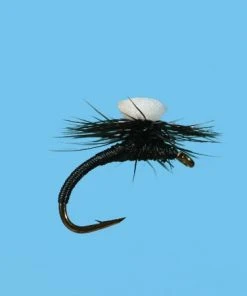 Solitude Brook's Sprout Midge - Black Shop Flies