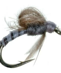 Umpqua Shop Flies CDC Loop Wing Emerger - Olive