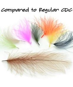 Nature's Spirit CDC Tufts