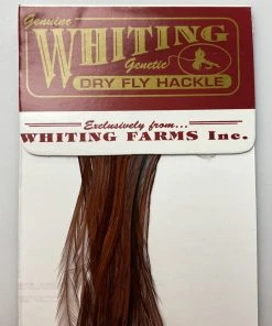 Whiting 100 Pack Dry Fly Hackle - Coachman Brown - 18