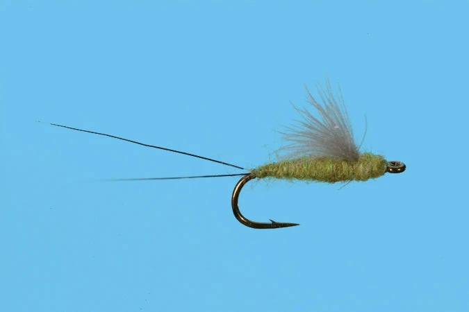 Solitude RS2 - Olive Shop Flies 3 Solitude RS2 - Olive Shop Flies
