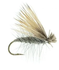 Umpqua Shop Flies Elk Caddis Dun