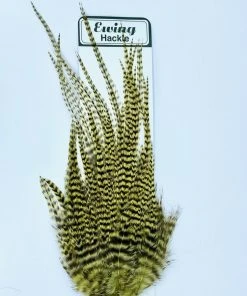 Wapsi Hackle Ewing Wooly Bugger Patch