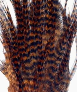 Wapsi Hackle Ewing Wooly Bugger Patch