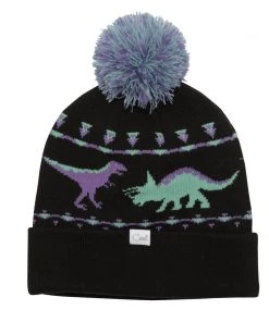 Coal The Dinosaur Graphic Pom Beanie