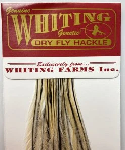 Whiting 100 Pack Dry Fly Hackle - Golden Badger - 16