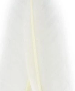 Nature's Spirit Goose Quills 15 Nature's Spirit Goose Quills