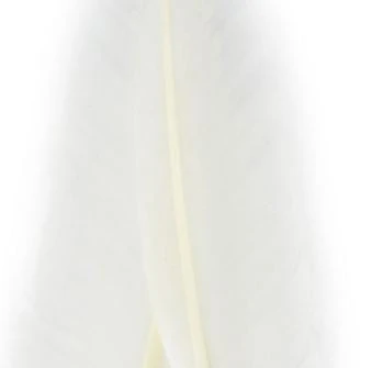 Nature's Spirit Goose Quills 8 Nature's Spirit Goose Quills