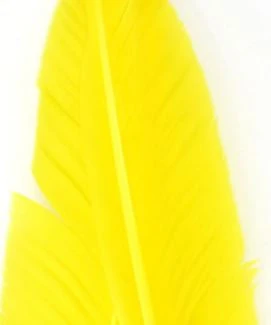 Nature's Spirit Goose Quills 3 Nature's Spirit Goose Quills