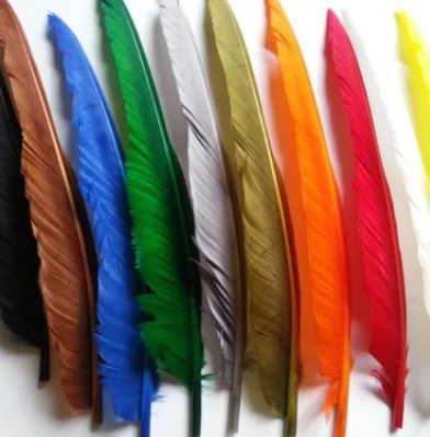 Nature's Spirit Goose Quills 9 Nature's Spirit Goose Quills