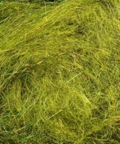 Rohmer Arizona Diamond Hair 23 Rohmer Arizona Diamond Hair