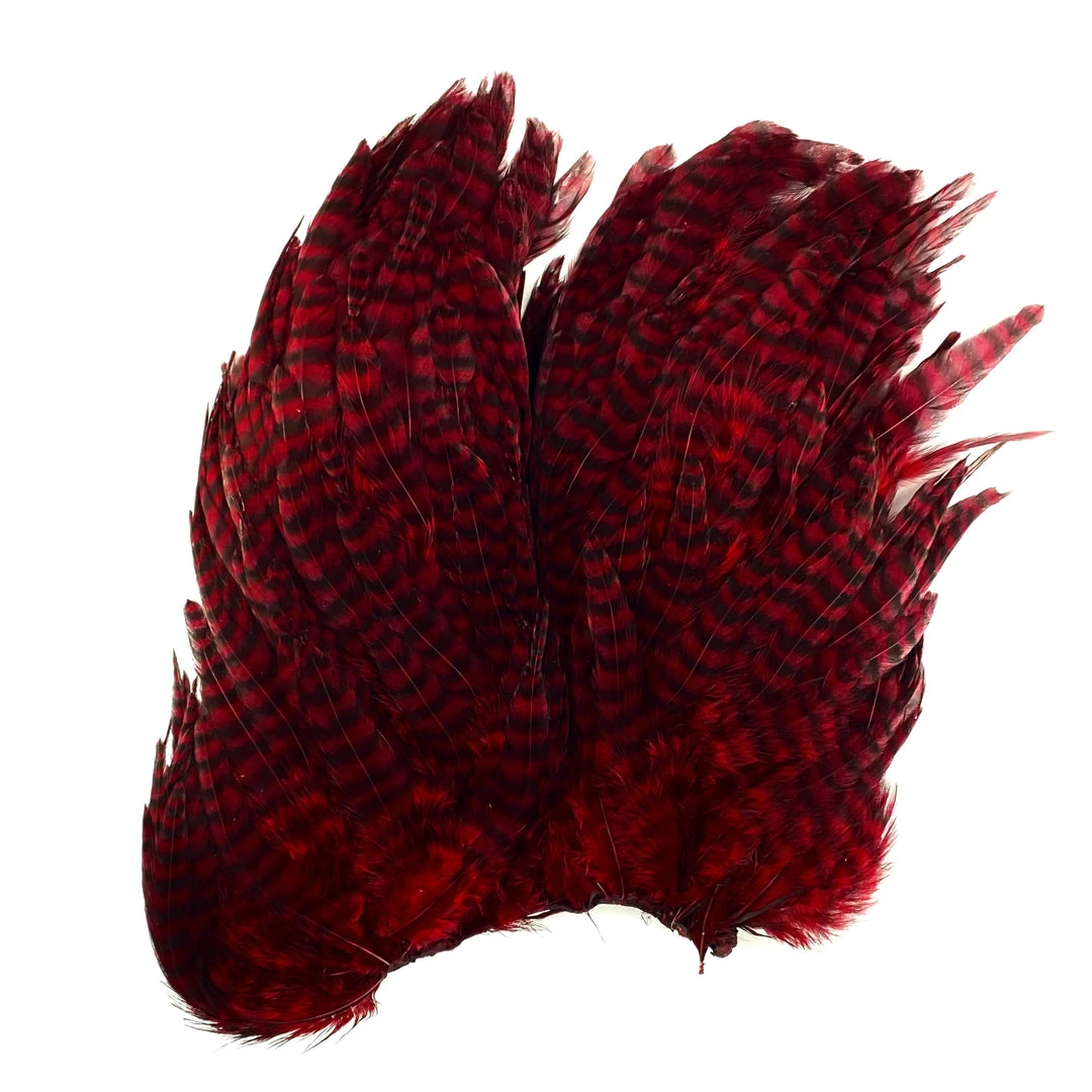 Whiting Bugger Hackle Patch 5 Whiting Bugger Hackle Patch