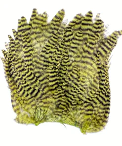 Whiting Bugger Hackle Patch 13 Whiting Bugger Hackle Patch