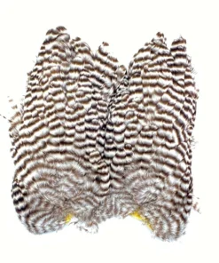 Whiting Bugger Hackle Patch 14 Whiting Bugger Hackle Patch