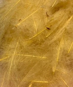 Nature's Spirit Swiss CDC 100% Natural Dyed Grade