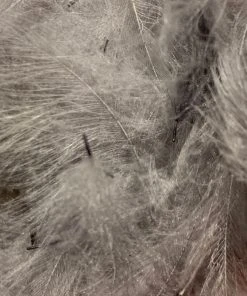 Nature's Spirit Swiss CDC 100% Natural Dyed Grade