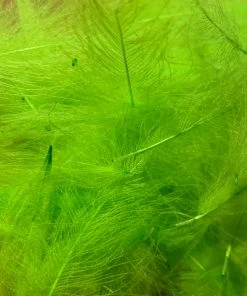 TroutHunter Premium Bulk CDC Feathers & Marabou