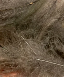 TroutHunter Premium CDC 31 TroutHunter Premium CDC