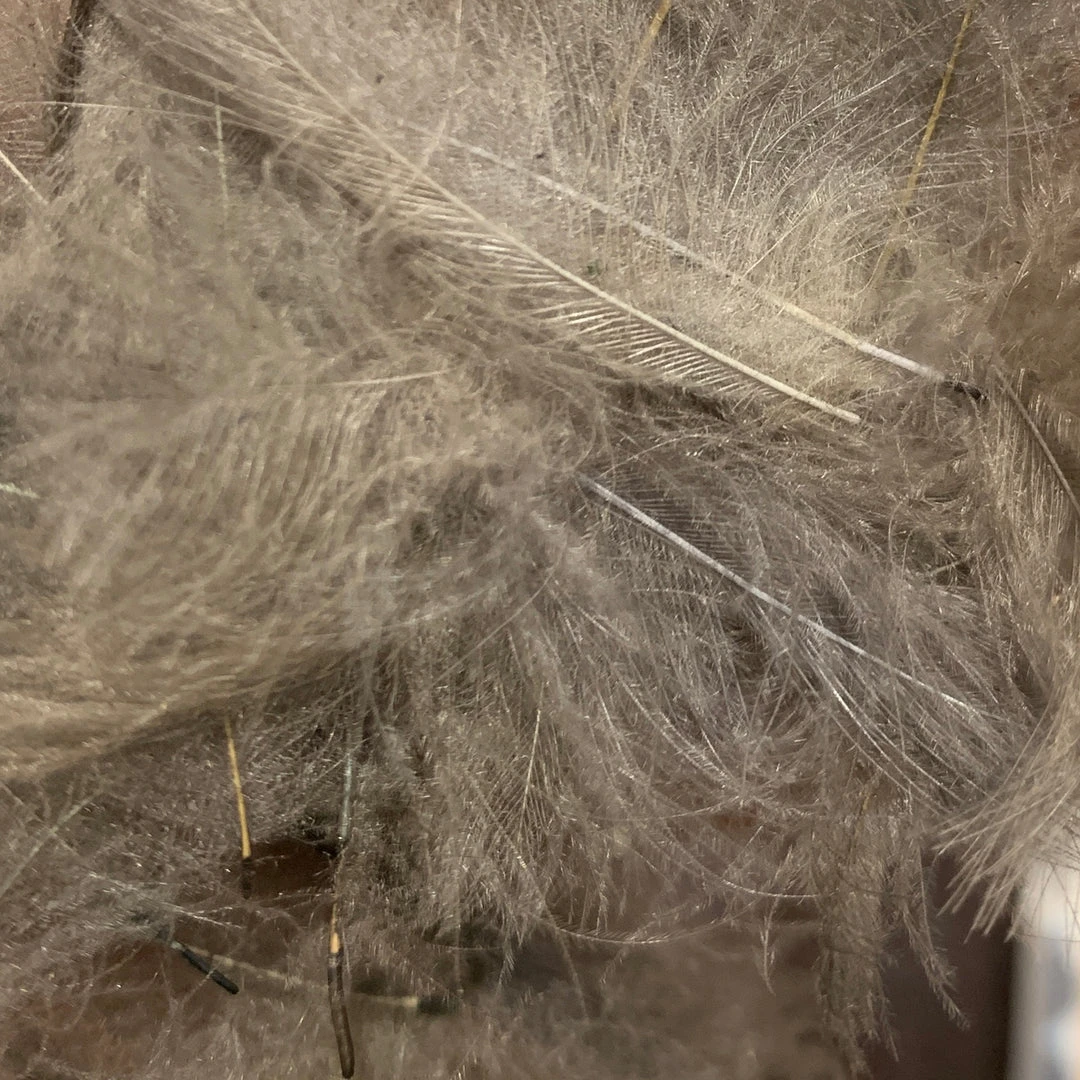 TroutHunter Premium CDC 12 TroutHunter Premium CDC