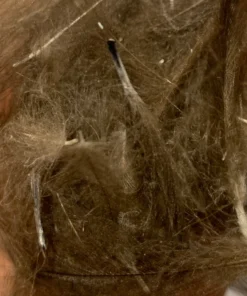 TroutHunter Premium CDC 28 TroutHunter Premium CDC