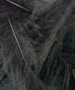 Nature's Spirit Feathers & Marabou Swiss CDC Super Select Grade