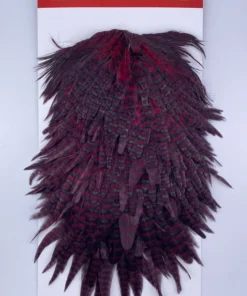 Hackle Whiting Red Label Hen Saddle