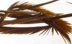 Semperfli Inferno Goose Biots Feathers & Marabou