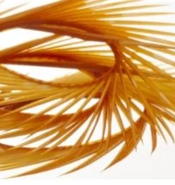 Semperfli Inferno Goose Biots Feathers & Marabou