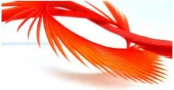 Semperfli Inferno Goose Biots Feathers & Marabou