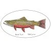 Pescador Jeff Currier Fish Decals Clothing & Logo Gear 2 Pescador Jeff Currier Fish Decals Clothing & Logo Gear