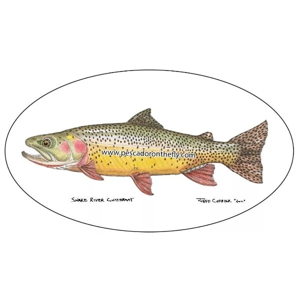 Pescador Jeff Currier Fish Decals Clothing & Logo Gear 4 Pescador Jeff Currier Fish Decals Clothing & Logo Gear